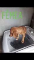 sem nome