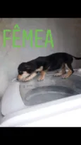 sem nome