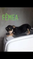 sem nome