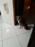 Marley