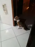 Marley