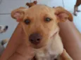 Ainda não tem 