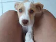 Ainda não tem 