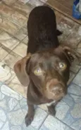 Martín 