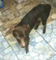Martín 