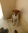 Bulda