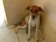 Bulda