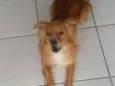 Charlie