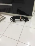 Pop
