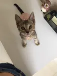 Margot