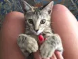 Margot