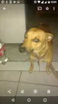 Sorisso