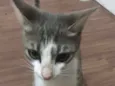 Desconhecido