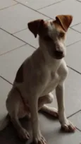 Sem nome ainda