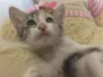 Cloe 