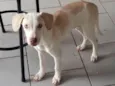 Sem nome ainda