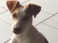 Sem nome ainda