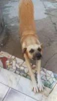 Luizitto