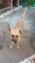Luizitto