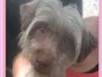 Esmeralda Pequena