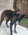Tobi&NegraLi