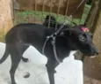 Tobi&NegraLi
