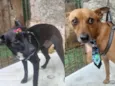 Tobi&NegraLi