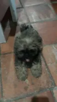 Fiona
