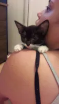 mimi