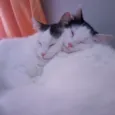 Céu e Lua 