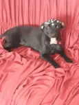 Nina