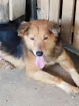 Marley