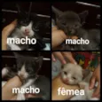 Sem.nomes