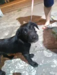 Doug