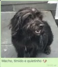Fred 