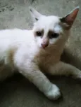 BLANCA
