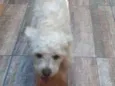 Marley 