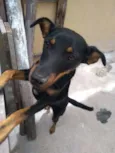 Pretinha