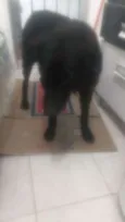 Rob