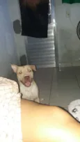 RUFF