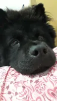 Cyrus