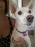 Nina