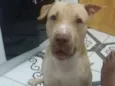 RUFF