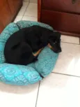 Ainda não tem