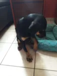 Ainda não tem