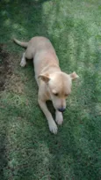 Desconhecido
