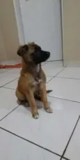 mimi