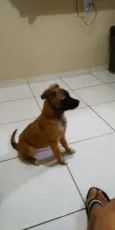 mimi