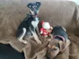 Leco e Lela