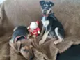 Leco e Lela